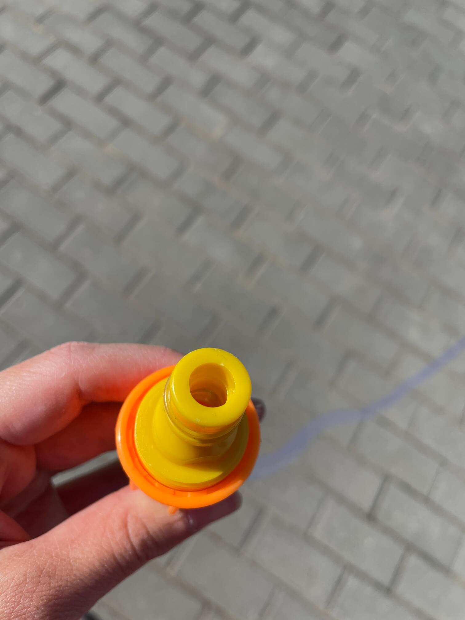 Haikala batuudi pilt