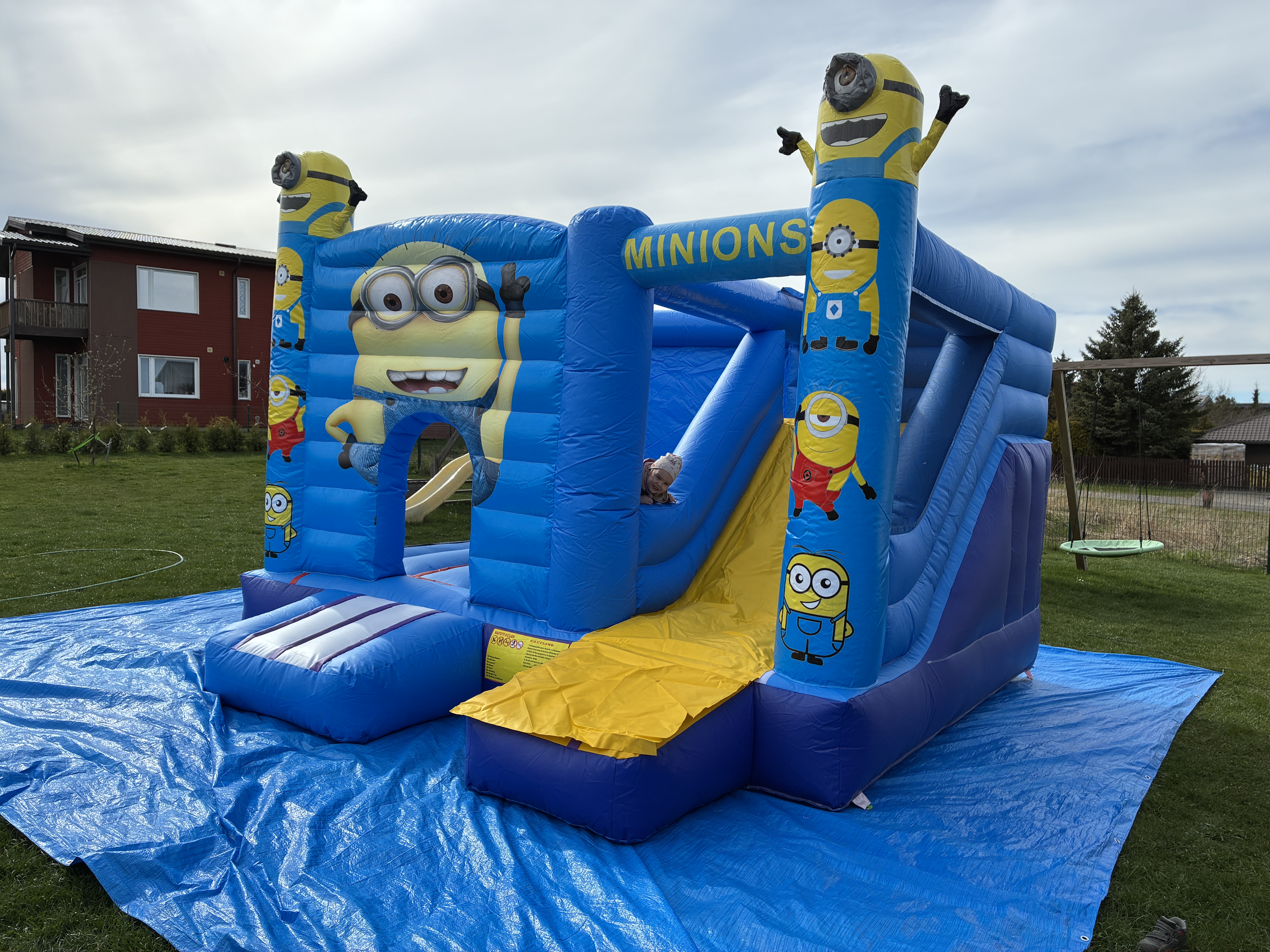 Minionite batuudi pilt
