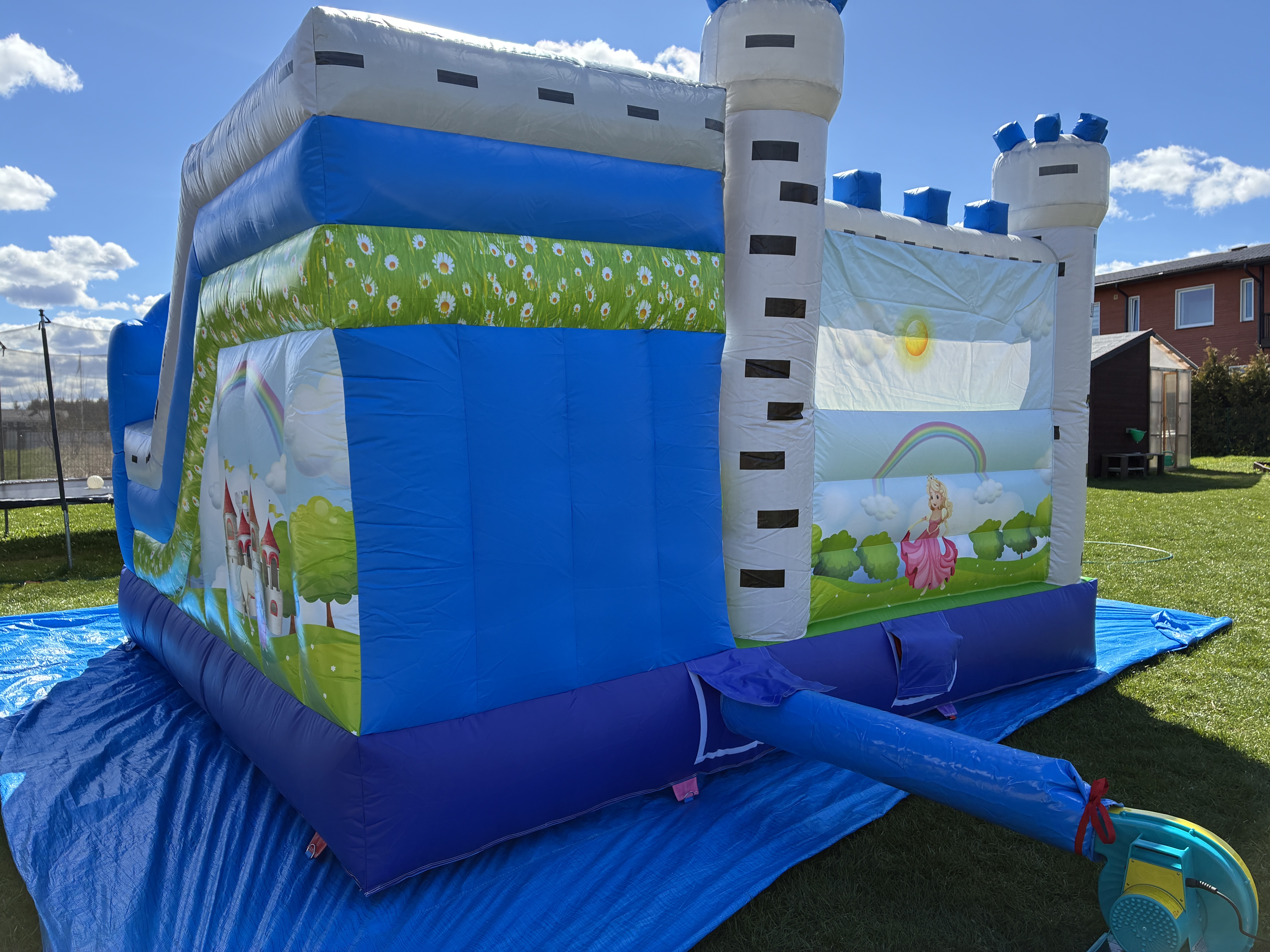 Ükssarviku batuudi pilt